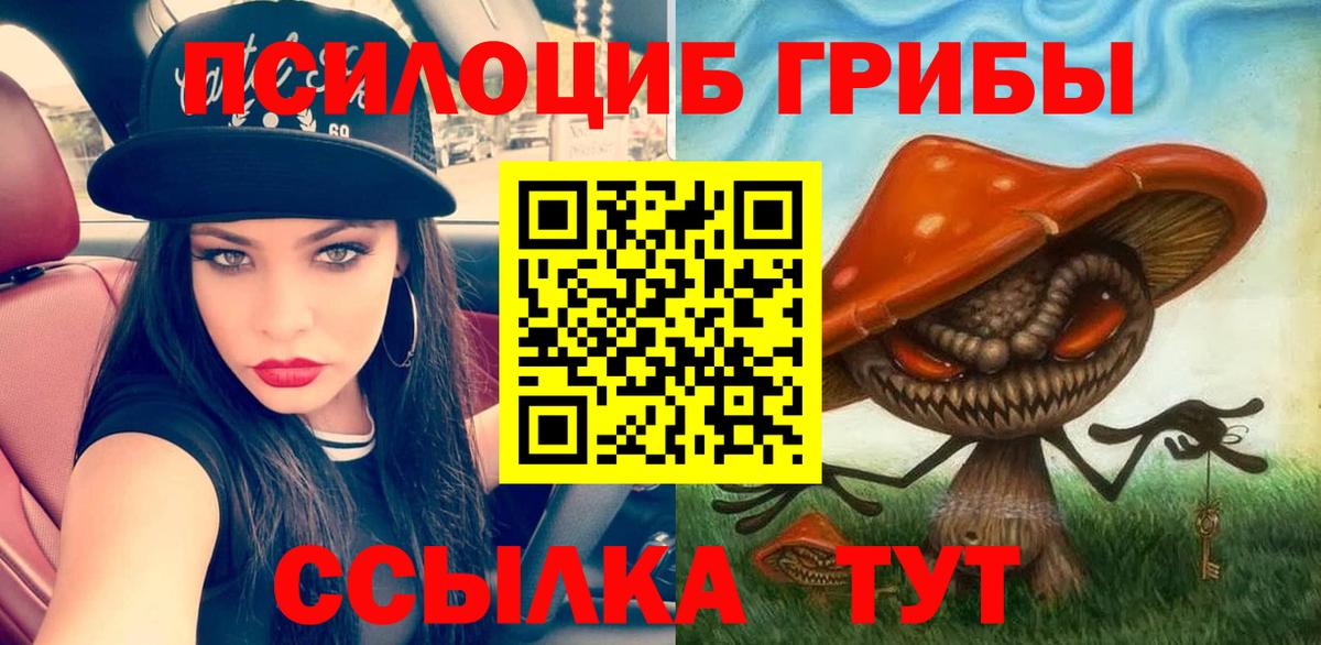 Сосновоборск  Псилоцибиновые грибы Cubensis  наркота  Вход с VPN  Псилоцибиновые грибы MAGIC MUSHROOMS 
